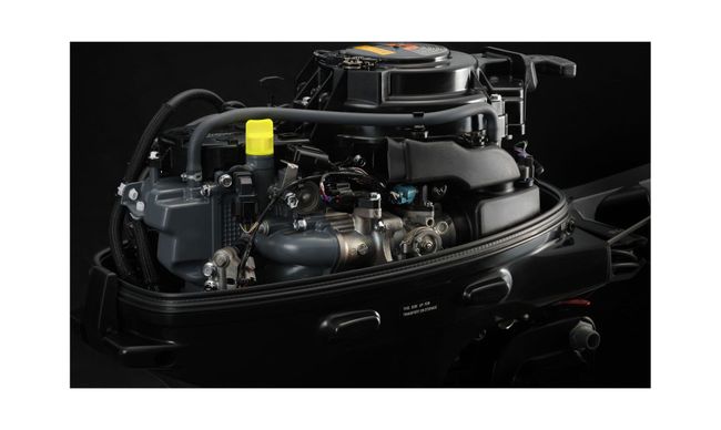 Мотор лодочный Suzuki DF9.9BS+ (Super Forced)