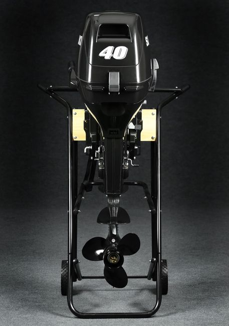 Мотор лодочный Suzuki DT40WS