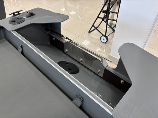Моторная лодка Swimmer 450Z