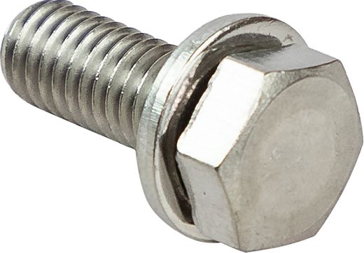 Screw