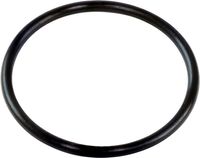 Кольцо уплотнительное корпуса помпы Yamaha 9.9-15, F6-15, Omax