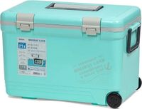 Термобокс SHINWA Holiday Land Cooler 27H синий