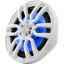 Морская акустика RGB 8