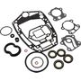 Ремкомплект редуктора Yamaha 60F/70B, Omax